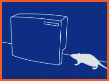 smart catch step1
