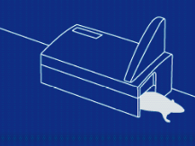 smart eye step3